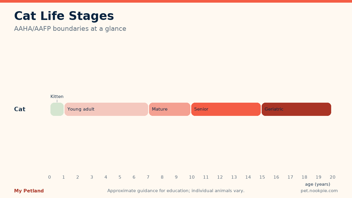 Stage band chart of AAHA and AAFP cat life stages from kitten through geriatric