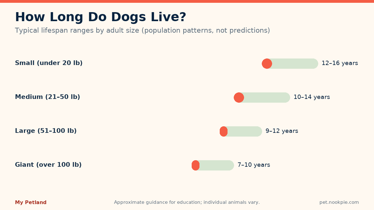 Range chart of typical dog lifespans by adult size, from twelve to sixteen years for small dogs down to seven to ten for giant dogs